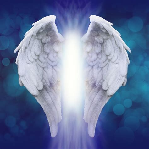 angel wings images|angel wings free images.